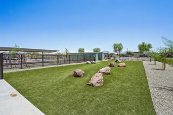 Oversized dog park with pet-friendly community design